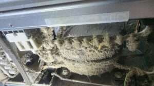 Refrigerator repair Condenser Coil cleaning . The Ultimate Guide to Refrigerator Repair: How to Properly Clean the Condenser Coil