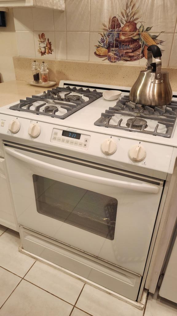 Oven Bake Ignitor repair or Installation service . From Broken to Baked: Our Expertise in Oven Bake Ignitor Repair