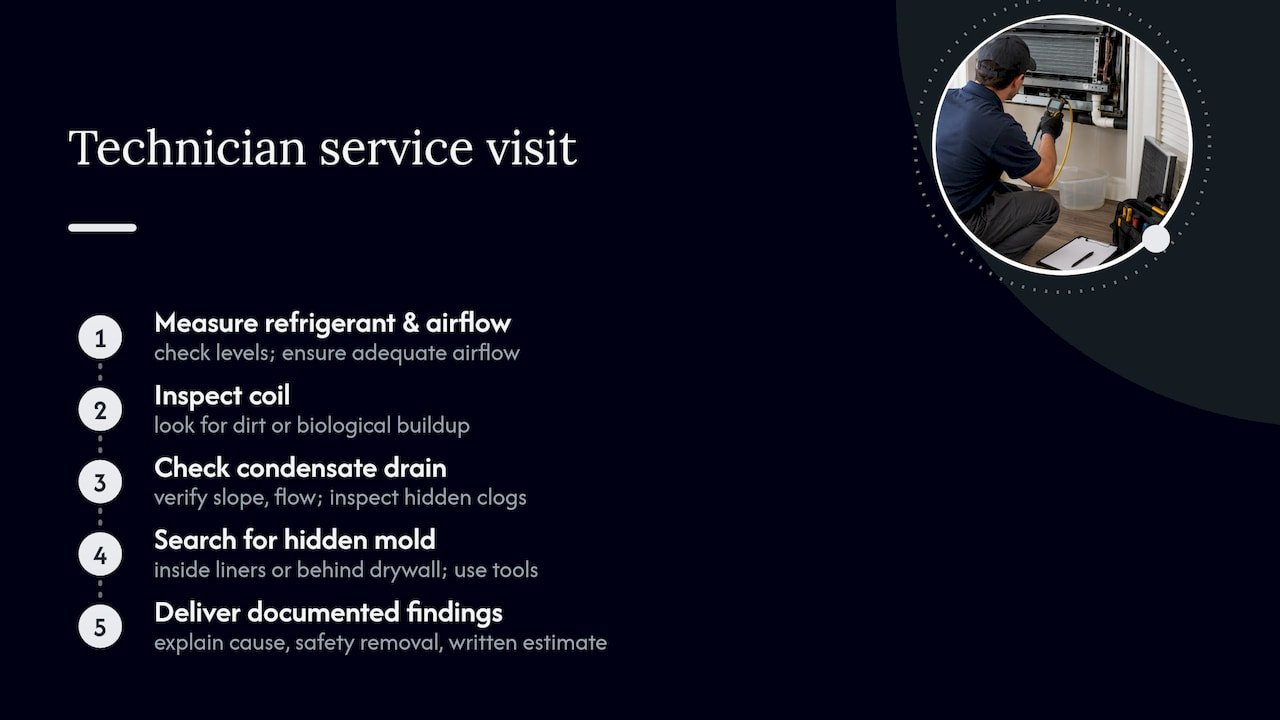 What a technician actually checks during a service visit — overview diagram